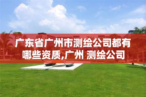 广东省广州市测绘公司都有哪些资质,广州 测绘公司