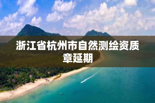 浙江省杭州市自然测绘资质章延期