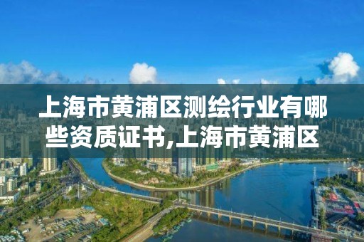 上海市黄浦区测绘行业有哪些资质证书,上海市黄浦区测绘行业有哪些资质证书的。