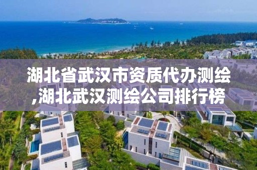 湖北省武汉市资质代办测绘,湖北武汉测绘公司排行榜