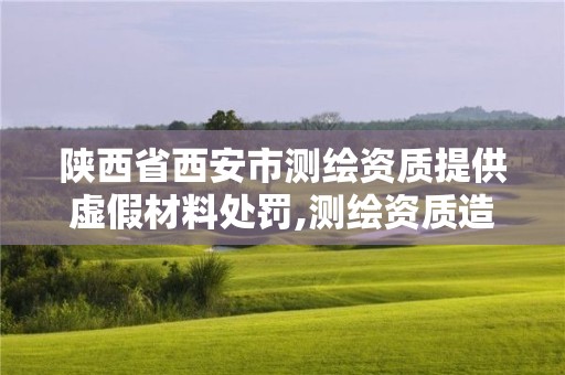 陕西省西安市测绘资质提供虚假材料处罚,测绘资质造假在哪里举报