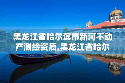 黑龙江省哈尔滨市新河不动产测绘资质,黑龙江省哈尔滨市测绘局