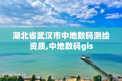 湖北省武汉市中地数码测绘资质,中地数码gis