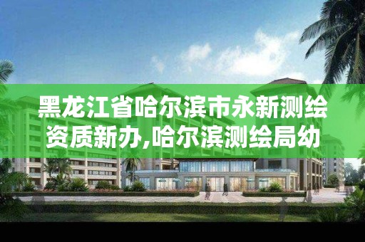 黑龙江省哈尔滨市永新测绘资质新办,哈尔滨测绘局幼儿园是民办还是公办