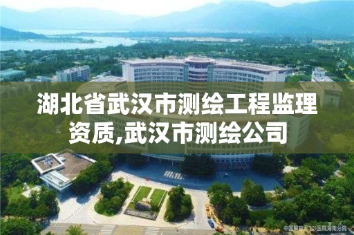 湖北省武汉市测绘工程监理资质,武汉市测绘公司