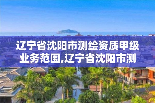 辽宁省沈阳市测绘资质甲级业务范围,辽宁省沈阳市测绘资质甲级业务范围是多少