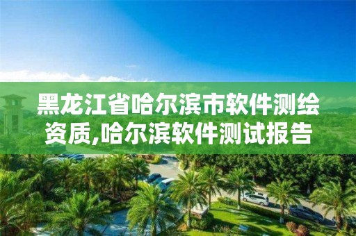 黑龙江省哈尔滨市软件测绘资质,哈尔滨软件测试报告第三方软件测试中心供应