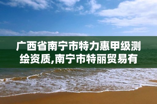 广西省南宁市特力惠甲级测绘资质,南宁市特丽贸易有限公司