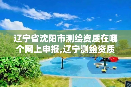 辽宁省沈阳市测绘资质在哪个网上申报,辽宁测绘资质查询