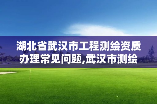 湖北省武汉市工程测绘资质办理常见问题,武汉市测绘院怎么样