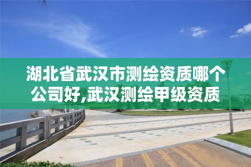 湖北省武汉市测绘资质哪个公司好,武汉测绘甲级资质公司