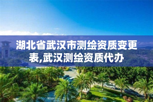 湖北省武汉市测绘资质变更表,武汉测绘资质代办