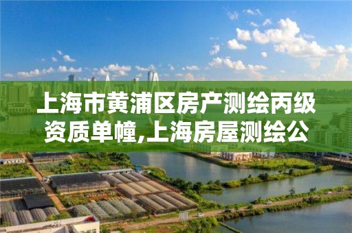 上海市黄浦区房产测绘丙级资质单幢,上海房屋测绘公司有哪几家。