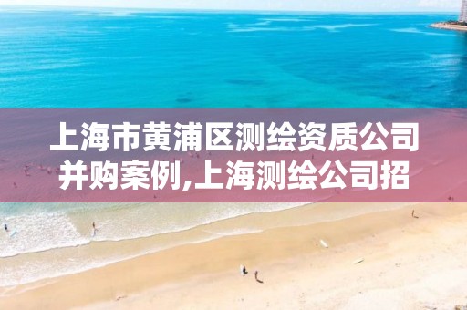 上海市黄浦区测绘资质公司并购案例,上海测绘公司招聘