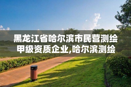 黑龙江省哈尔滨市民营测绘甲级资质企业,哈尔滨测绘仪器检测