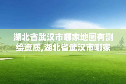 湖北省武汉市哪家地图有测绘资质,湖北省武汉市哪家地图有测绘资质的