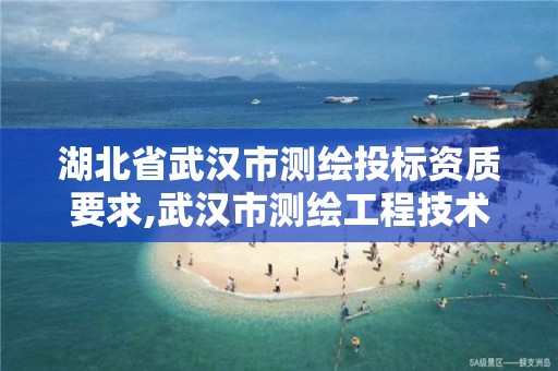 湖北省武汉市测绘投标资质要求,武汉市测绘工程技术规定