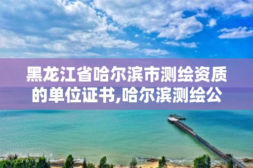 黑龙江省哈尔滨市测绘资质的单位证书,哈尔滨测绘公司电话