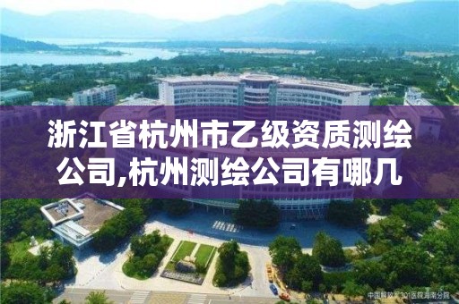 浙江省杭州市乙级资质测绘公司,杭州测绘公司有哪几家