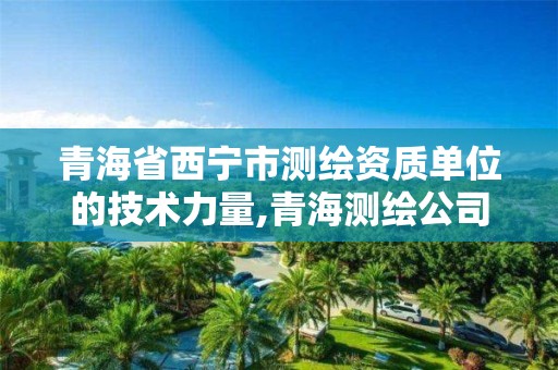 青海省西宁市测绘资质单位的技术力量,青海测绘公司成员名单。