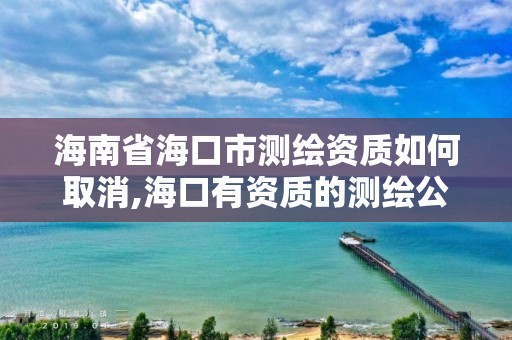 海南省海口市测绘资质如何取消,海口有资质的测绘公司