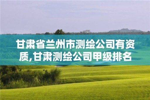 甘肃省兰州市测绘公司有资质,甘肃测绘公司甲级排名