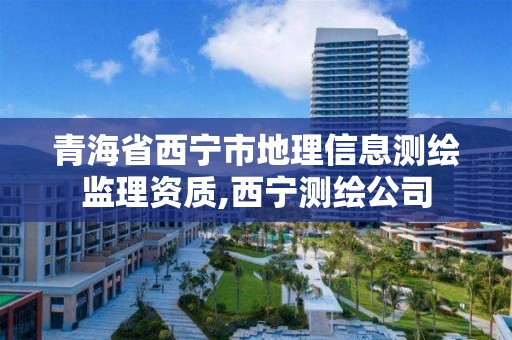 青海省西宁市地理信息测绘监理资质,西宁测绘公司