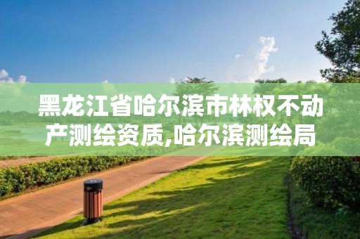 黑龙江省哈尔滨市林权不动产测绘资质,哈尔滨测绘局。