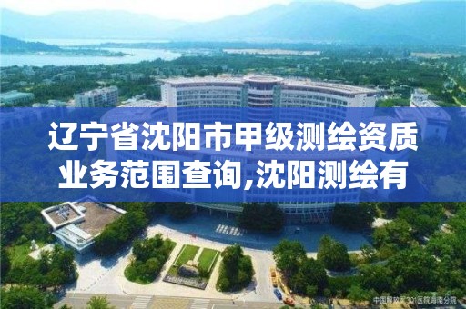 辽宁省沈阳市甲级测绘资质业务范围查询,沈阳测绘有限公司。