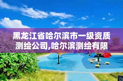 黑龙江省哈尔滨市一级资质测绘公司,哈尔滨测绘有限公司