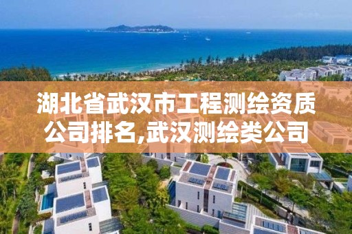 湖北省武汉市工程测绘资质公司排名,武汉测绘类公司