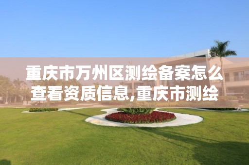 重庆市万州区测绘备案怎么查看资质信息,重庆市测绘资质管理办法