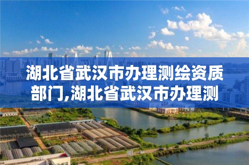 湖北省武汉市办理测绘资质部门,湖北省武汉市办理测绘资质部门地址