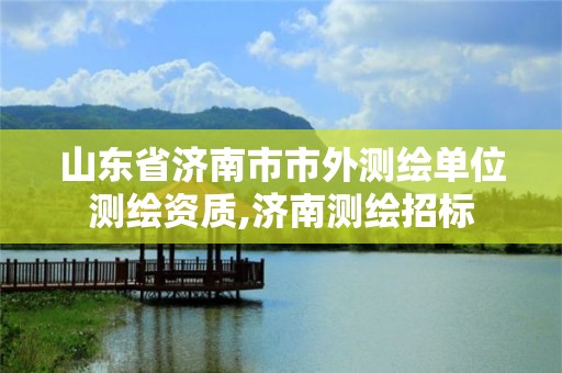 山东省济南市市外测绘单位测绘资质,济南测绘招标