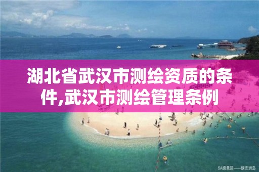 湖北省武汉市测绘资质的条件,武汉市测绘管理条例