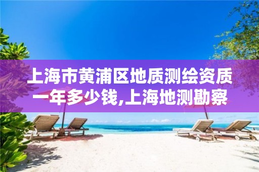 上海市黄浦区地质测绘资质一年多少钱,上海地测勘察工程有限公司怎么样