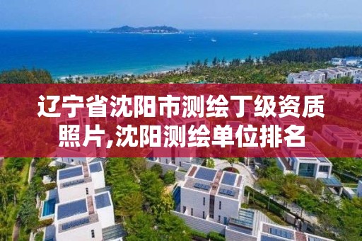 辽宁省沈阳市测绘丁级资质照片,沈阳测绘单位排名