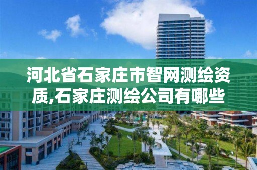 河北省石家庄市智网测绘资质,石家庄测绘公司有哪些