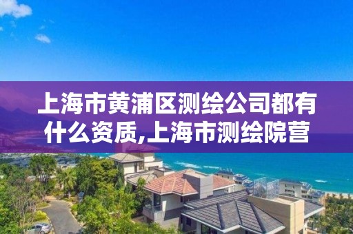 上海市黄浦区测绘公司都有什么资质,上海市测绘院营业时间