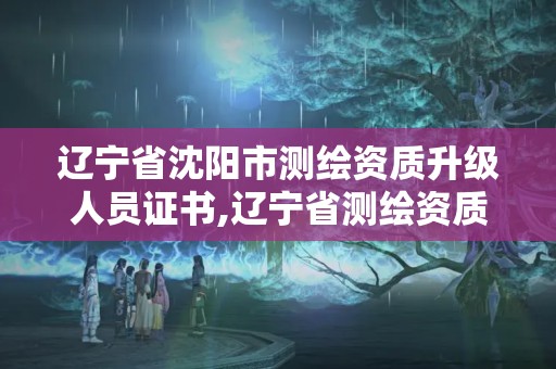 辽宁省沈阳市测绘资质升级人员证书,辽宁省测绘资质延期