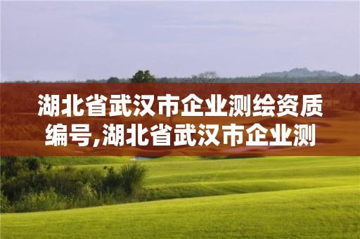 湖北省武汉市企业测绘资质编号,湖北省武汉市企业测绘资质编号是多少