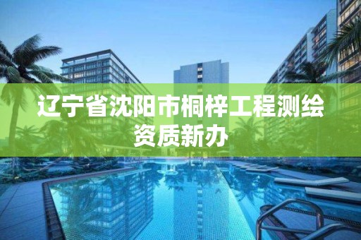 辽宁省沈阳市桐梓工程测绘资质新办