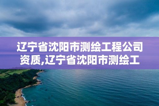 辽宁省沈阳市测绘工程公司资质,辽宁省沈阳市测绘工程公司资质公示