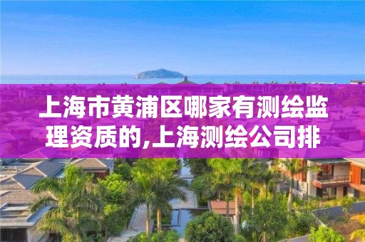 上海市黄浦区哪家有测绘监理资质的,上海测绘公司排名名单