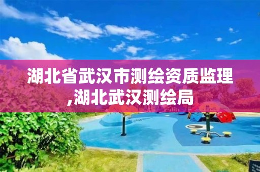 湖北省武汉市测绘资质监理,湖北武汉测绘局