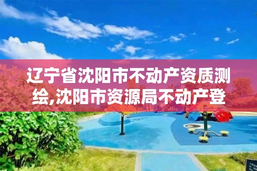 辽宁省沈阳市不动产资质测绘,沈阳市资源局不动产登记中心官网