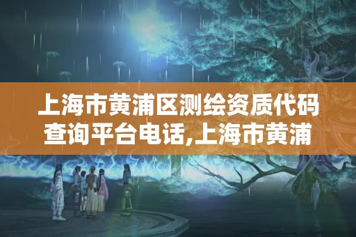 上海市黄浦区测绘资质代码查询平台电话,上海市黄浦区测绘资质代码查询平台电话。