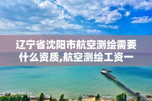 辽宁省沈阳市航空测绘需要什么资质,航空测绘工资一般多少。