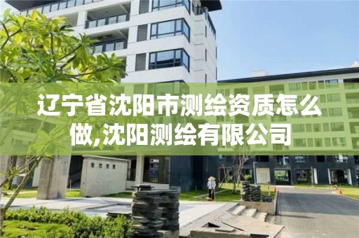 辽宁省沈阳市测绘资质怎么做,沈阳测绘有限公司