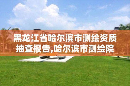 黑龙江省哈尔滨市测绘资质抽查报告,哈尔滨市测绘院